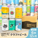 【ふるさと納税】【定期便】open air クラフトビール定期便 1年<全12回毎月お届け>
