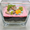 【ふるさと納税】ととのいの湯、テラリウムにて