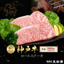 【ふるさと納税】神戸牛 ロースステーキ 250g×2枚 計 500g KBST5