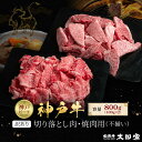 【ふるさと納税】訳あり 神戸牛 切り落とし肉・焼肉用(不揃い)400gずつ 計800g KBSY2