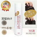 【ふるさと納税】医薬部外品 育毛・発毛促進剤 ドライドライド クイックインパクト 120mL【黒髪・茶髪向けより選択可】