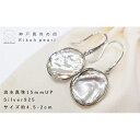 【ふるさと納税】淡水真珠バロックピアス