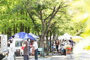 楽天兵庫県神戸市【ふるさと納税】『EAT LOCAL KOBE FARMERS MARKET』地産地食利用券 3枚「1500円相当」