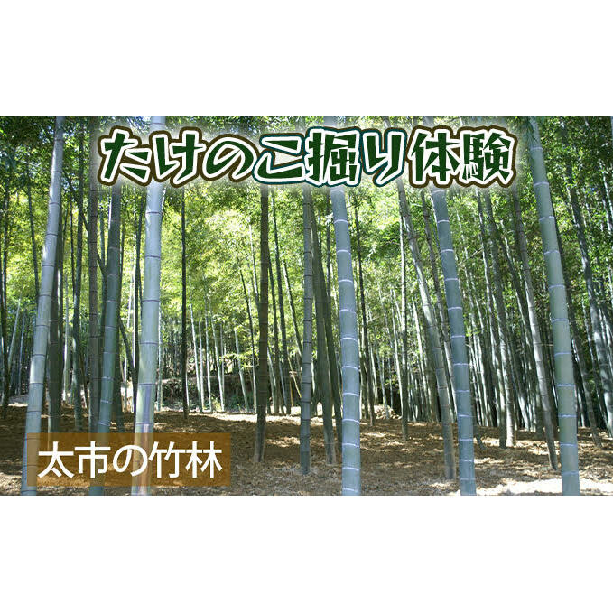 【ふるさと納税】たけのこ掘り体験3名様までコース　【体験チケット】　お届け：2021年4月上旬〜2022年4月中旬