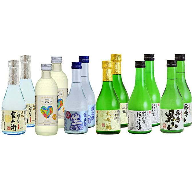 【ふるさと納税】日本酒 飲み比べセット 300ml×12本 