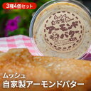 【ふるさと納税】バター ムッシュ自家製 アーモンドバ