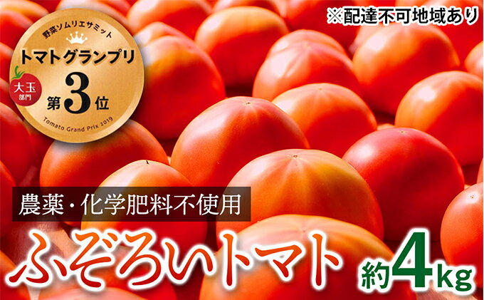 【ふるさと納税】【トマトGP受賞】栽培期間中農薬化学肥料不使用 お得なプレミアムトマト ふぞろい約4kg　【野菜・トマト】　お届け：2023年12月1日から2024年5月31日