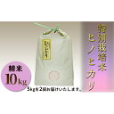 【ふるさと納税】特別栽培米　ヒノヒカリ　精米10kg（5kg×2袋）　【お米・ヒノヒカリ】