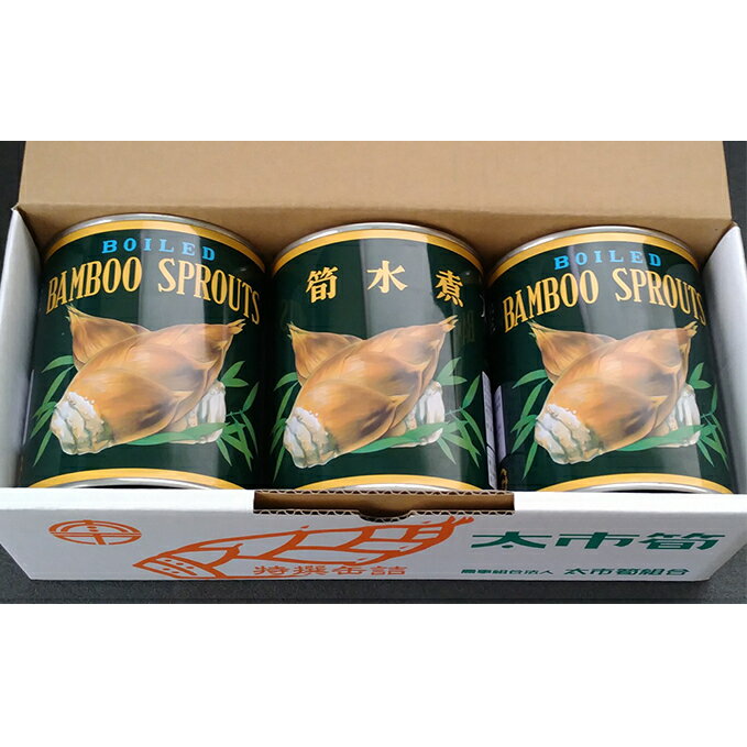 太市産筍　Dセット　筍水煮500g×3缶　【缶詰・野菜】