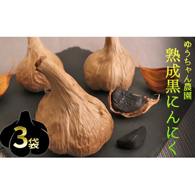 楽天兵庫県姫路市【ふるさと納税】ゆうちゃん農園熟成黒にんにく　M玉3個入×3袋［ 無化学肥料 無添加 有機栽培 安全 安心 国産ニンニク ］　【野菜・加工食品・美容・黒にんにく・ニンニク・にんにく】