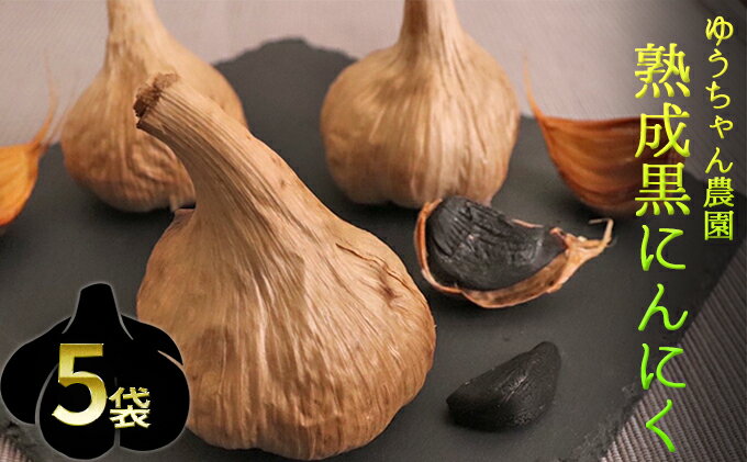 【ふるさと納税】ゆうちゃん農園熟成黒にんにく　M玉3個入×5袋［ 無化学肥料 無添加 有機栽培 安全 安心 国産ニンニク ］ 野菜 加工食品 美容