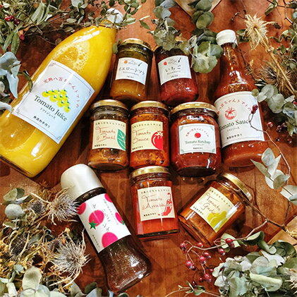 【ふるさと納税】みつヴィレッジのオススメ加工品セット(10種) パスタソース 果汁飲料 野菜飲料 トマトジュース ジャム