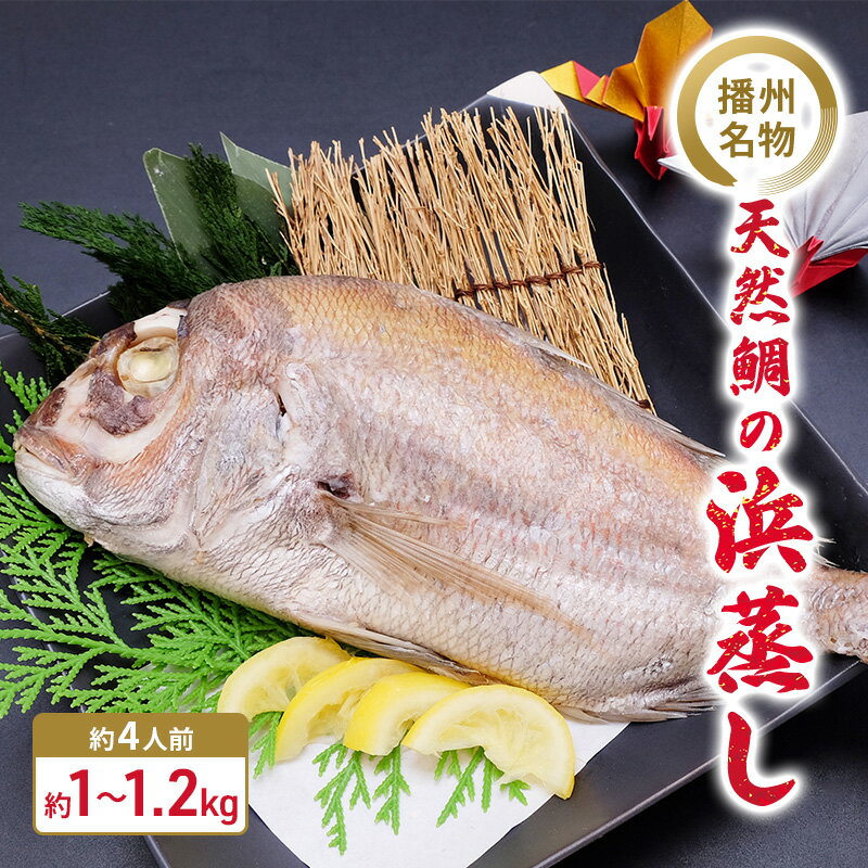 播州名物　天然鯛の浜蒸し 約1kg～1.2kg 【約4人前】/ 祝い鯛 お食い初め 長寿祝い　【魚貝類・タイ・鯛・祝い鯛・お食い初め・長寿祝い・マダイ・真鯛・約4人前】