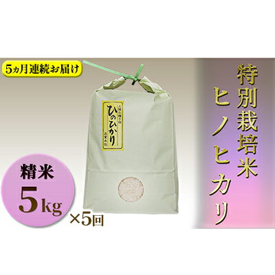 【ふるさと納税】【定期便】 特別栽培米　精米　ヒノヒカリ　5kg×5回　 お米 香り ツヤ 食感 うまみ 兵庫県認証食品取得 1等米
