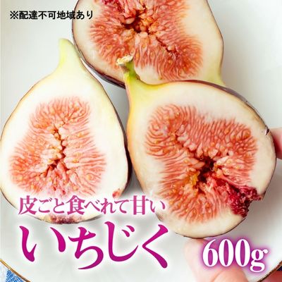 【ふるさと納税】【皮ごと食べれて甘い】あかね農園「いちじく」約600g 果物 フルーツ イチジク 無花果 デザート おやつ 産地直送 　お届け：2024年8月下旬～2024年10月上旬のサムネイル
