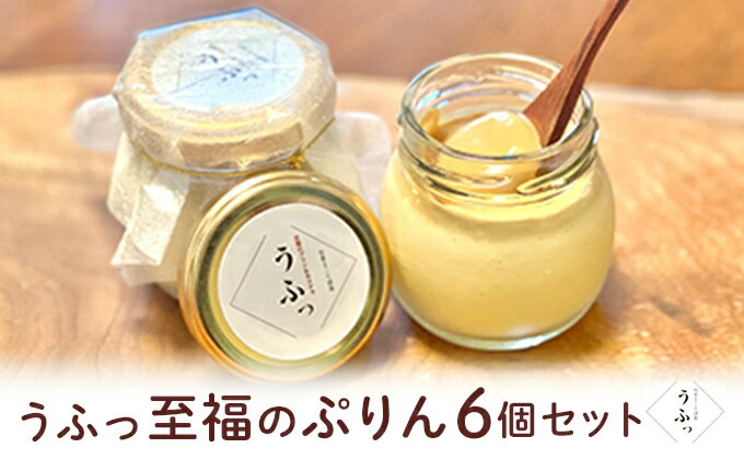【ふるさと納税】「うふっ」至福のぷりん6個セット お菓子 スイーツ おやつ デザート 洋菓子 生菓子 こだわり素材 日本一こだわり卵 きび砂糖 上品な甘さ カラメルホイップ