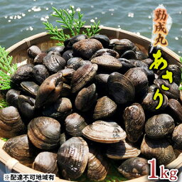 【ふるさと納税】勤成丸のあさり 1.0kg　【 魚貝類 海の幸 酒蒸し アサリご飯 パスタ 料理 食材 みそ汁の具 冷蔵便 食べ物 食品 】　お届け：2024年4月上旬～2024年5月下旬まで