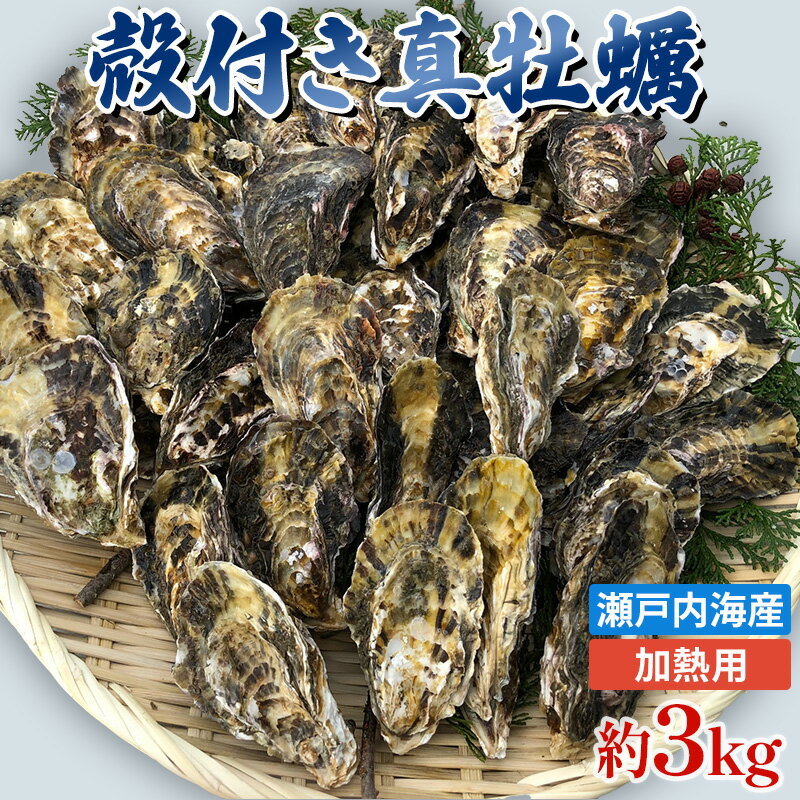【ふるさと納税】旬にお届け！姫路産　殻付き真牡蠣（加熱用）約3kg ／ カキ かき 貝類 兵庫県 特産品　【魚貝類・生牡蠣・かき】　お届け：2024年1月中旬～4月中旬のサムネイル