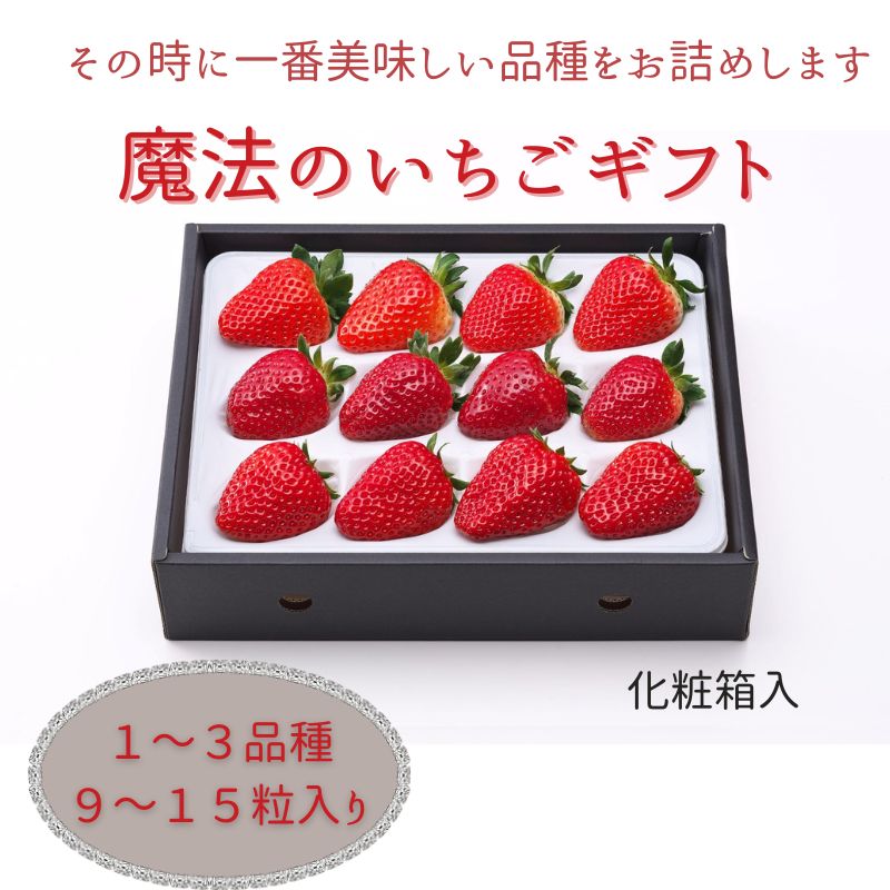 【ふるさと納税】魔法のいちごギフト化粧箱入り　【果物類・いちご・苺・イチゴ】　お届け：2023年12月上旬～2024年2月中旬までのサムネイル