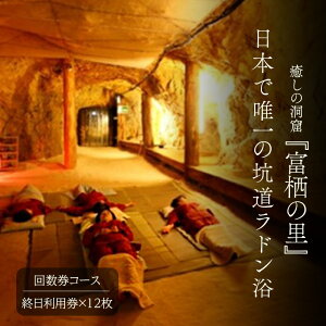 【ふるさと納税】日本で唯一の坑道ラドン浴回数券【坑道浴 癒し リフレッシュ リラックス】