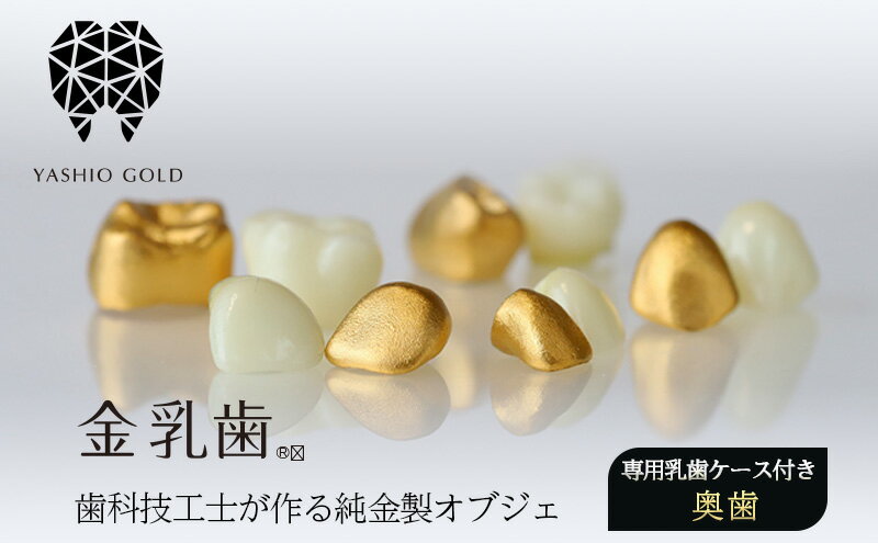 【ふるさと納税】金乳歯（奥歯）抜けた乳歯から歯科技工士が作る純金製オブジェ 専用乳歯ケース付き 子 孫へのプレゼント ギフト 出産祝い 乳歯ケース 歯科 予防歯科 ジュエリー 純金 木箱 ウォールナット
