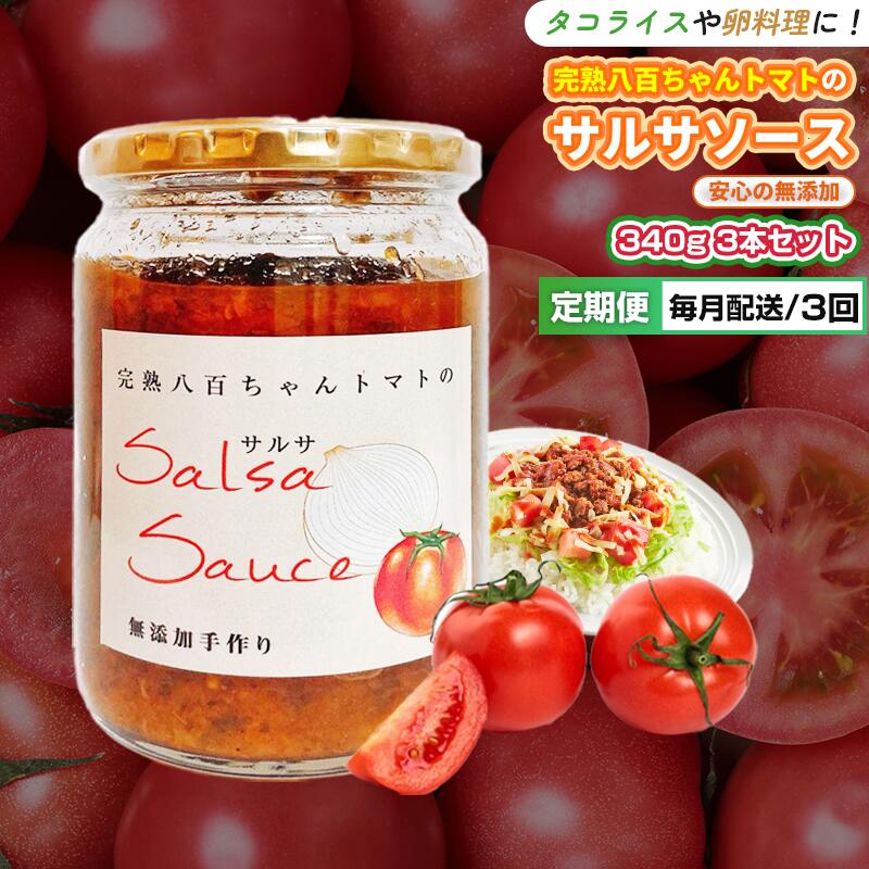 【ふるさと納税】【定期便・全3回】サルサソース 340g 2本セット ×3回｜国産 姫路産 八百ちゃんトマト 着色料・保存料不使用