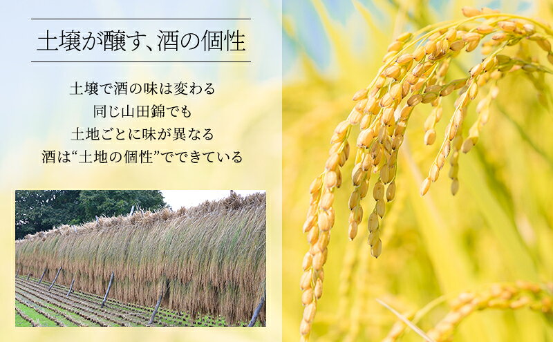 【ふるさと納税】日本酒 特別純米 龍力 天守物語 720ml 四合瓶 本田商店 地酒 清酒 お酒 ギフト プレゼント お歳暮 家飲み 晩酌 兵庫県 姫路市 f282014-himeji-10001587 兵庫県姫路市 サンプル画像2