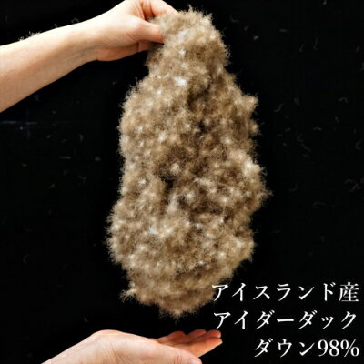 【ふるさと納税】逸品 アイスランド産アイダーダック ダウン98% 冬用羽毛ふとん セミダブルサイズ【1216667】