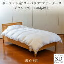 【ふるさと納税】逸品 ポーランド産“スーペリア”コウダ種マザーグースダウン98% 薄め冬用羽毛ふとんセミダブルサイズ【1457440】