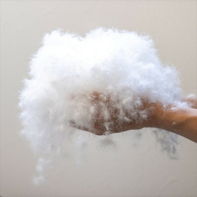 【ふるさと納税】ポーランド産コウダ種ホワイトグース ダウン93% 冬用羽毛ふとん ワイドキングサイズ【1457466】 3