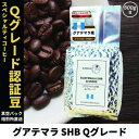 【ふるさと納税】コーヒー豆 スペシャリティ Qグレード認証豆 グアテマラ SHB 中深煎り 500g【1619511】
