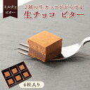 【ふるさと納税】2層の生チョコがとろける「生チョコ ビター」【配送不可地域:離島】【1511446】