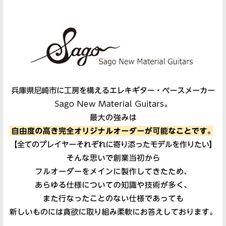 【ふるさと納税】【オーダーギター・ベース】10万円分のオーダーチケット【Sago】【1242231】その2