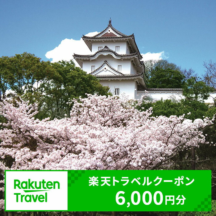 兵庫県明石市の対象施設で使える 楽天トラベルクーポン 寄附額20,000円（6,000円クーポン）　【高級宿・宿泊券・旅行】