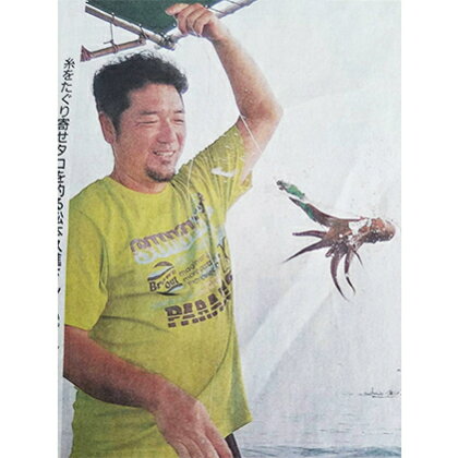 明石だこ漁師釣り体験 4名様チャーター便(6月〜8月) 【体験チケット】