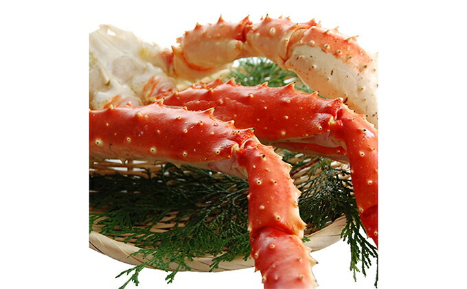 【ふるさと納税】ボイルたらば蟹 特大サイズ　5L　2.5kg　【たらば蟹・かに・カニ・2.5kg】