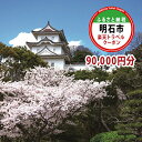 【ふるさと納税】兵庫県明石市の対象施設で使える 楽天トラベルクーポン 寄附額300,000円（90,000円クーポン）　【高級宿・宿泊券・旅行】