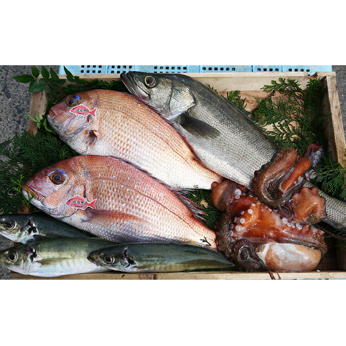 【ふるさと納税】まえもん鮮魚BOX　【魚介類・魚貝類・魚・セ