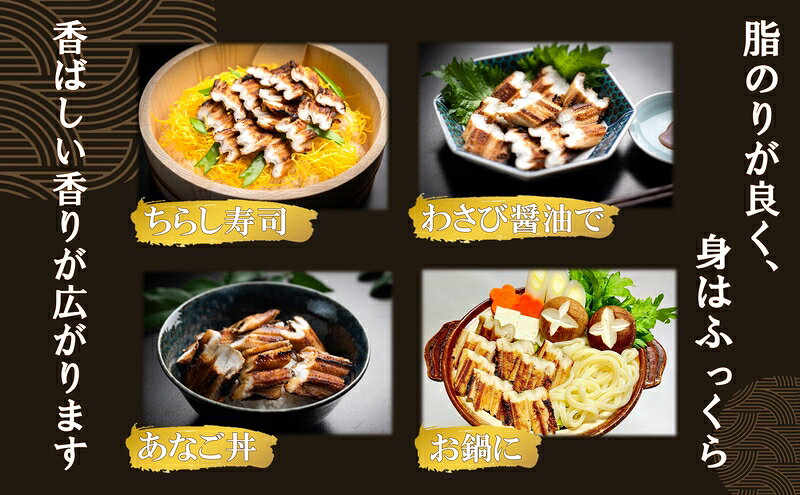 【ふるさと納税】【明石名物】【職人の技】ほんまにうまい!釜あげ明石だこ・焼あなご　セット〈工場直送〉秘伝のたれ付　老舗　焼きたて　こだわり　おすすめ　冷蔵　海鮮　穴子　蛸　タコ f282031-akashi-10000454 兵庫県明石市 サンプル画像3