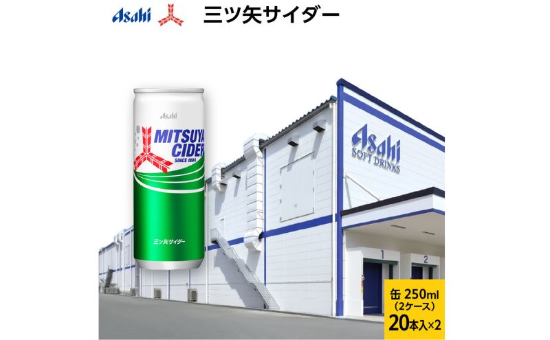 【ふるさと納税】三ツ矢サイダー　缶250ml(20本入×2)　【飲料類・炭酸飲料】