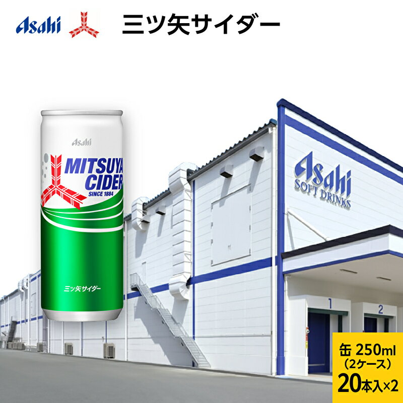 【ふるさと納税】三ツ矢サイダー　缶250ml(20本入×2)　【飲料類・炭酸飲料】