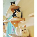 【ふるさと納税】保護猫カフェ・カーロ 入場券2枚セット チケット 優待券