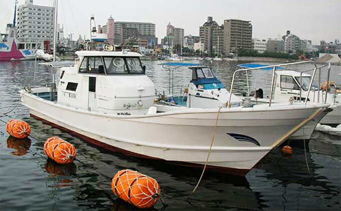 【ふるさと納税】リタックル 釣り船 乗船券 釣り　【 チケット 体験 魚釣り 船釣り 明石海峡 朝便 昼便 夜便 マダイ メバル マダイ ハマチ タコ 太刀魚 アオリイカ ガシラ メバル 海のレジャー フィッシング 】 2