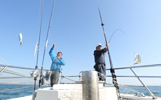 【ふるさと納税】釣り船魚英　乗船券3枚　【体験チケット・釣り・体験・スポーツ・アウトドア】その2