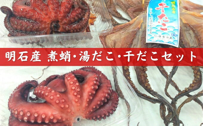 【ふるさと納税】明石産煮蛸 ・ 湯だこ ・ 干だこ セット　【魚貝類・タコ・加工食品・干物】