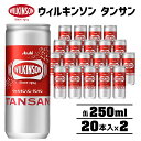 【ふるさと納税】ウィルキンソン タンサン 缶250ml（20本入×2）　【炭酸飲料・ソーダ水・ドリンク・飲料類】