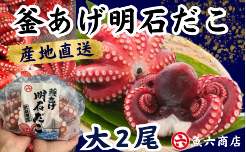 【ふるさと納税】ほんまにうまい　釜あげ明石だこ 大 2尾　【魚貝類・タコ・魚貝類・加工食品】