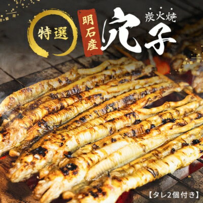 特選明石産炭焼き穴子（タレ2個付き）　【うなぎ・鰻・魚貝類・加工食品】