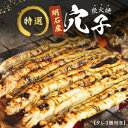 特選明石産炭焼き穴子（タレ3個付き）　