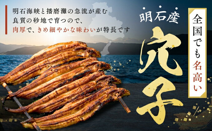【ふるさと納税】【3ヵ月連続お届け】特選明石産炭焼き穴子（タレ3個付き）[ 定期便 ] うなぎ 鰻 魚貝類 加工食品 f282031-akashi-10000262 兵庫県明石市 サンプル画像3